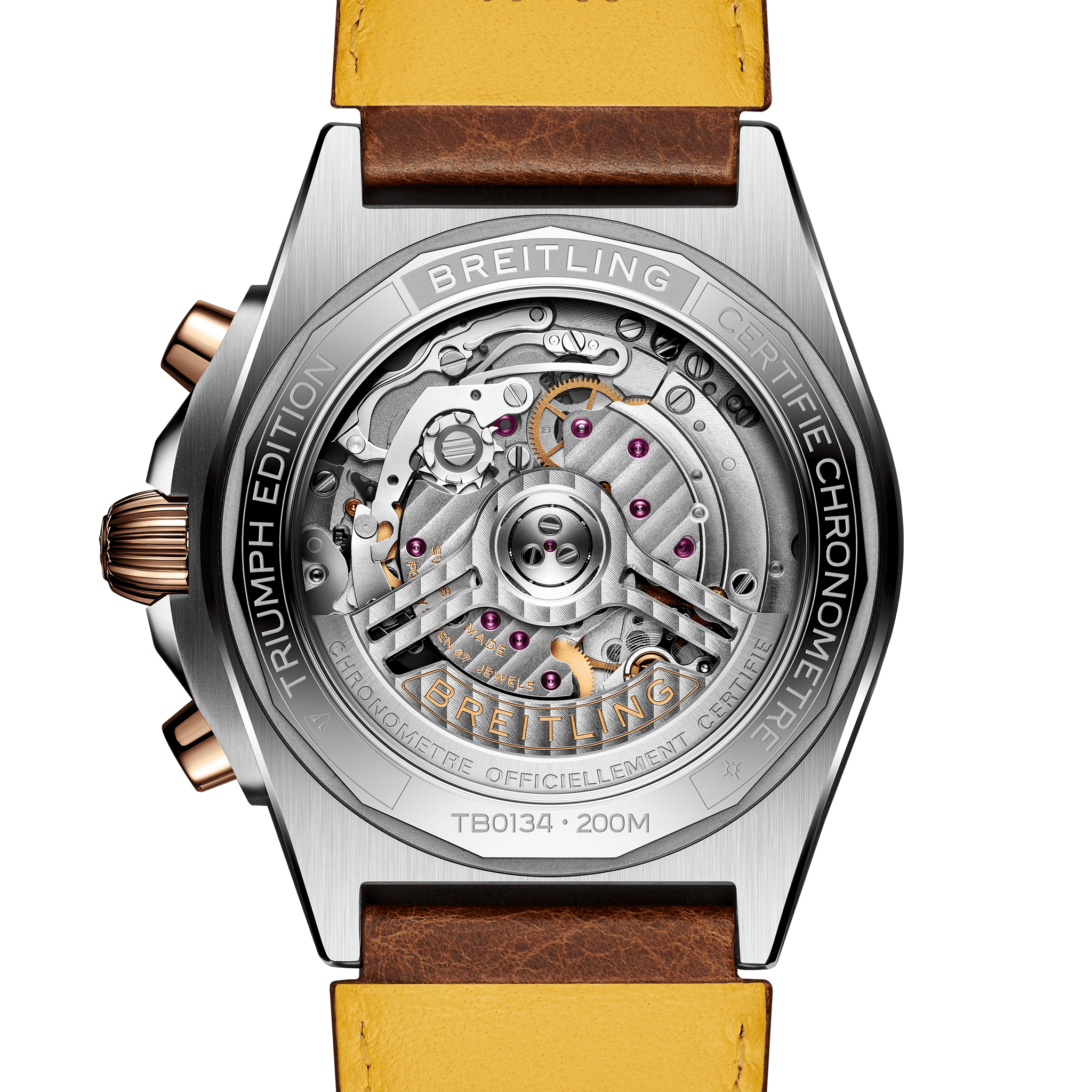 09_Breitling Chronomat B01 42 Triumph_back_Ref. TB0134101M1X1_RGB.png