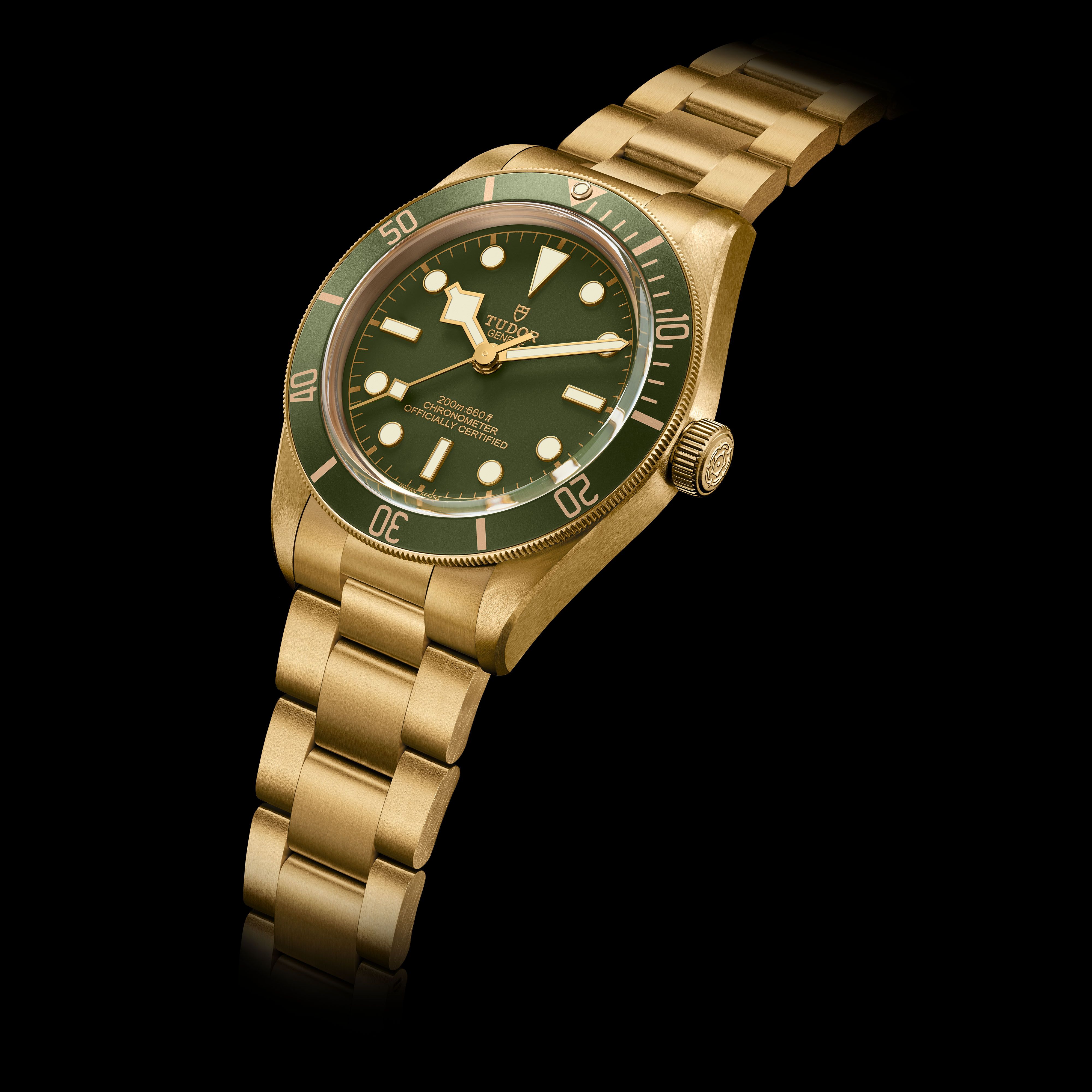 Tudor's First All Gold Black Bay