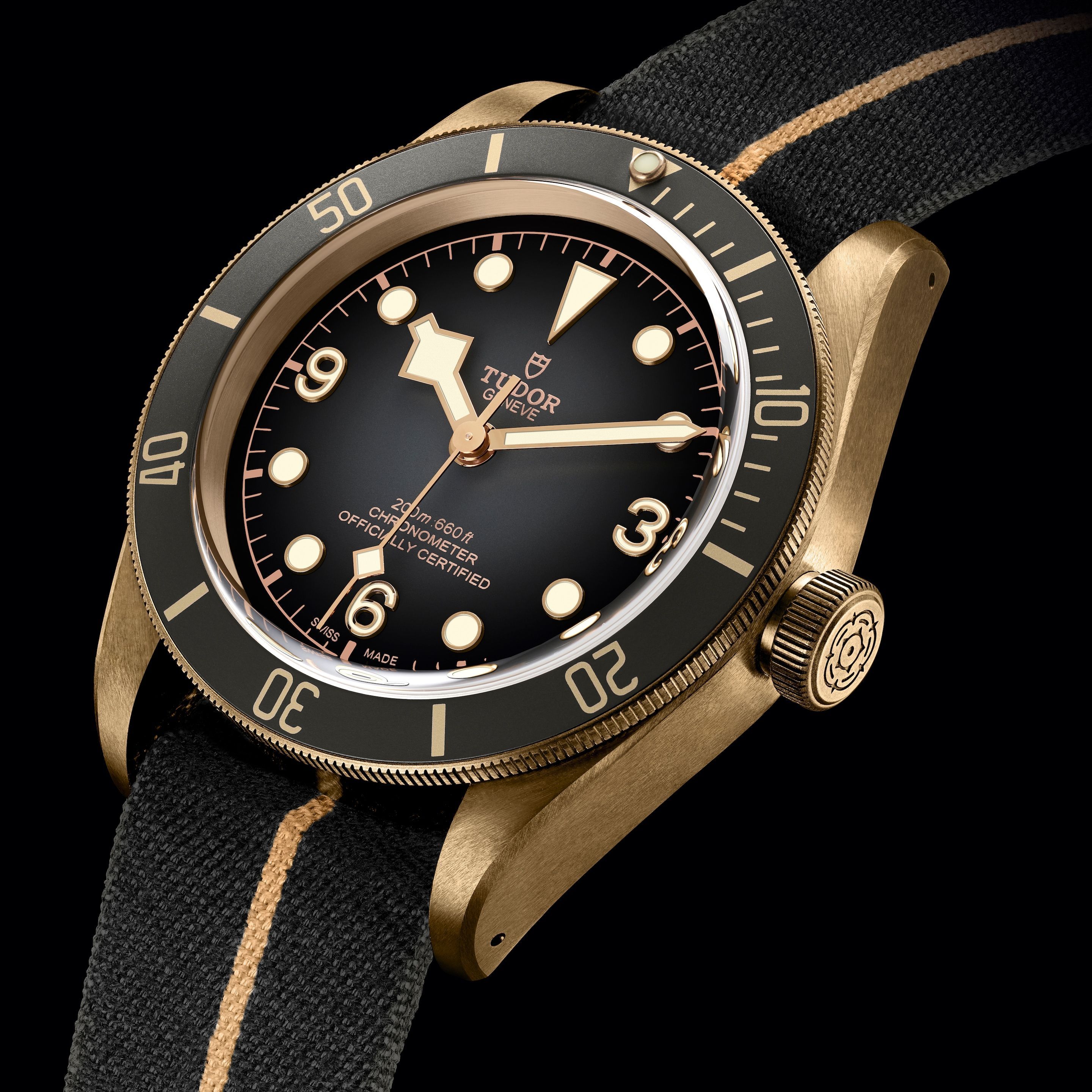 TUDOR Black Bay Close-up