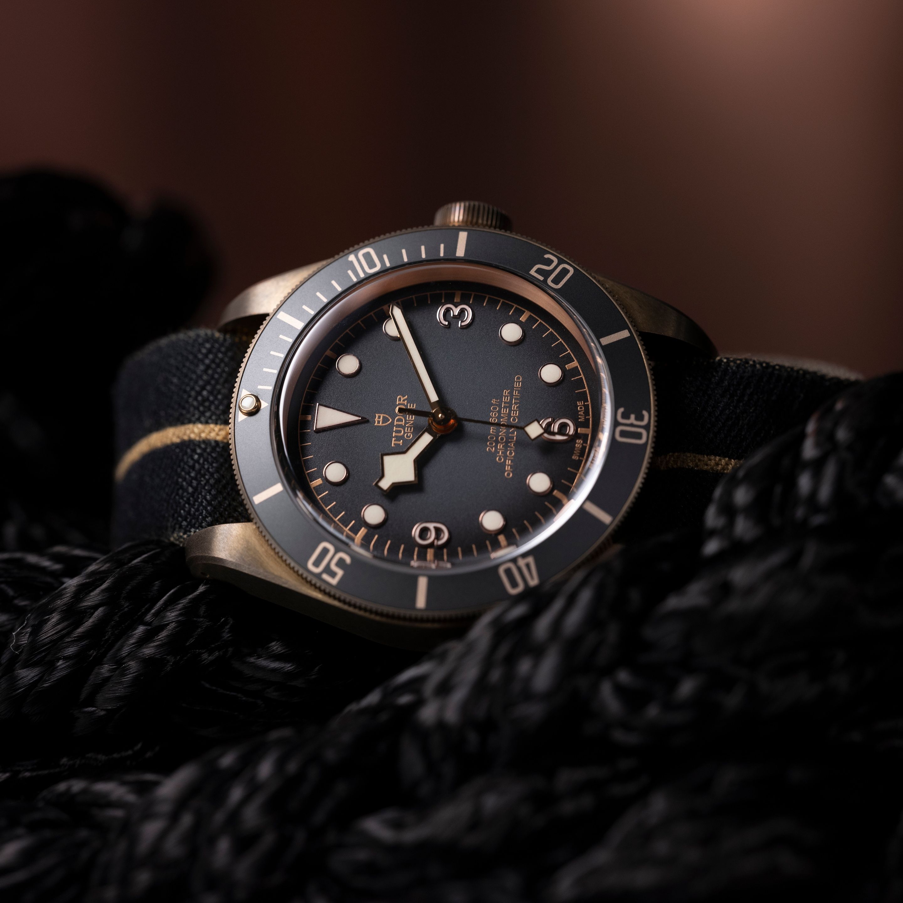 Tudor Black Bay