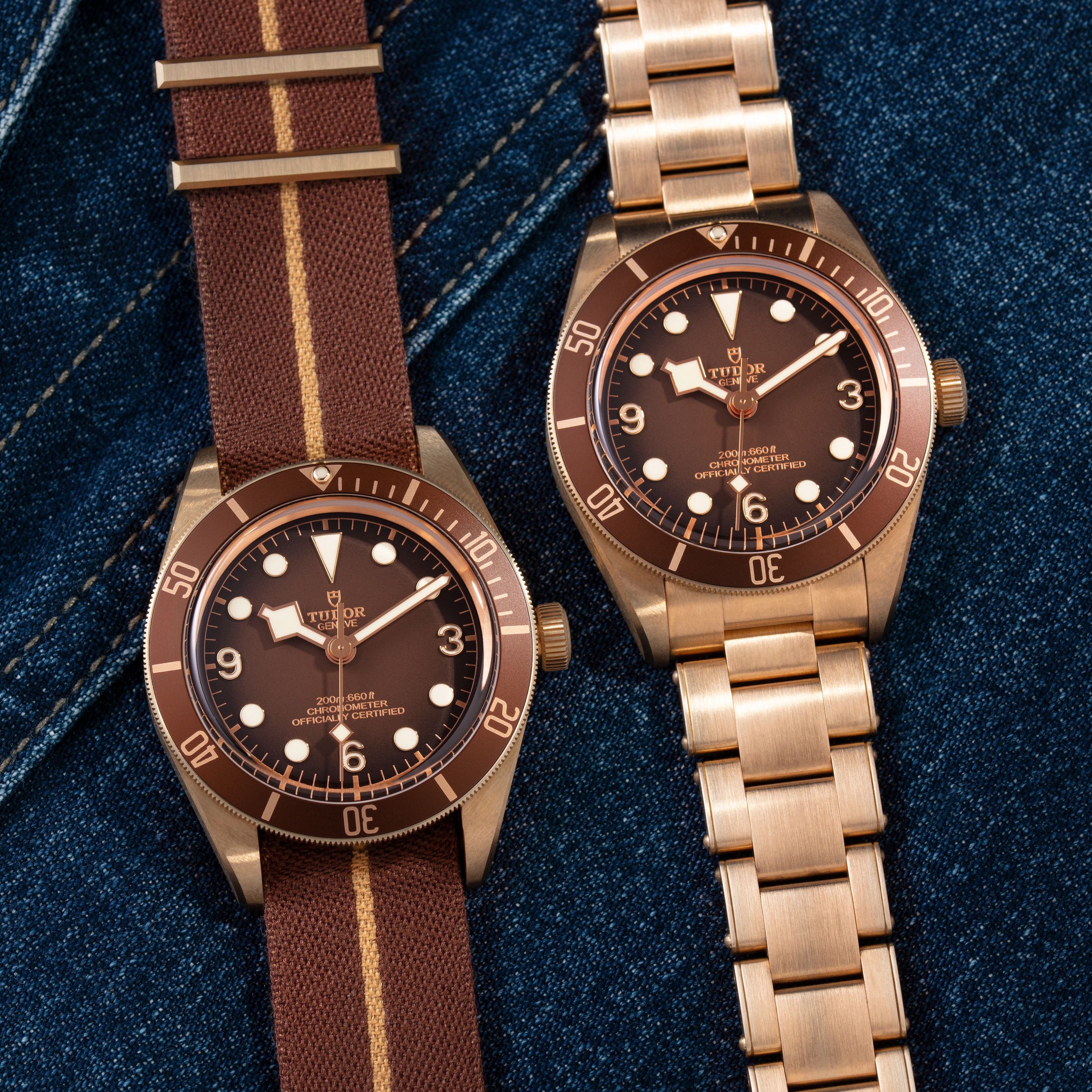 Tudor Pelagos Brown