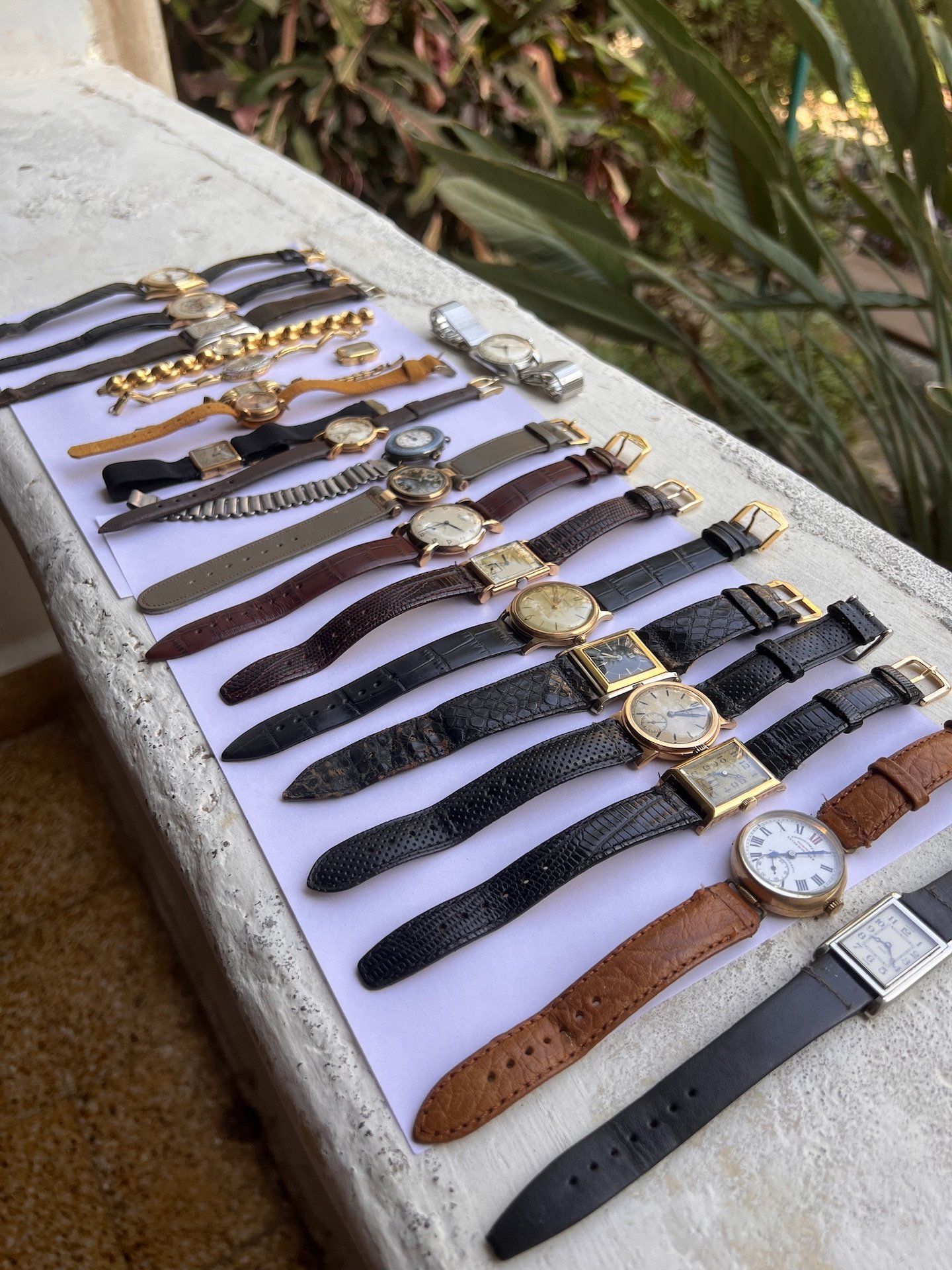 Personal watch collection