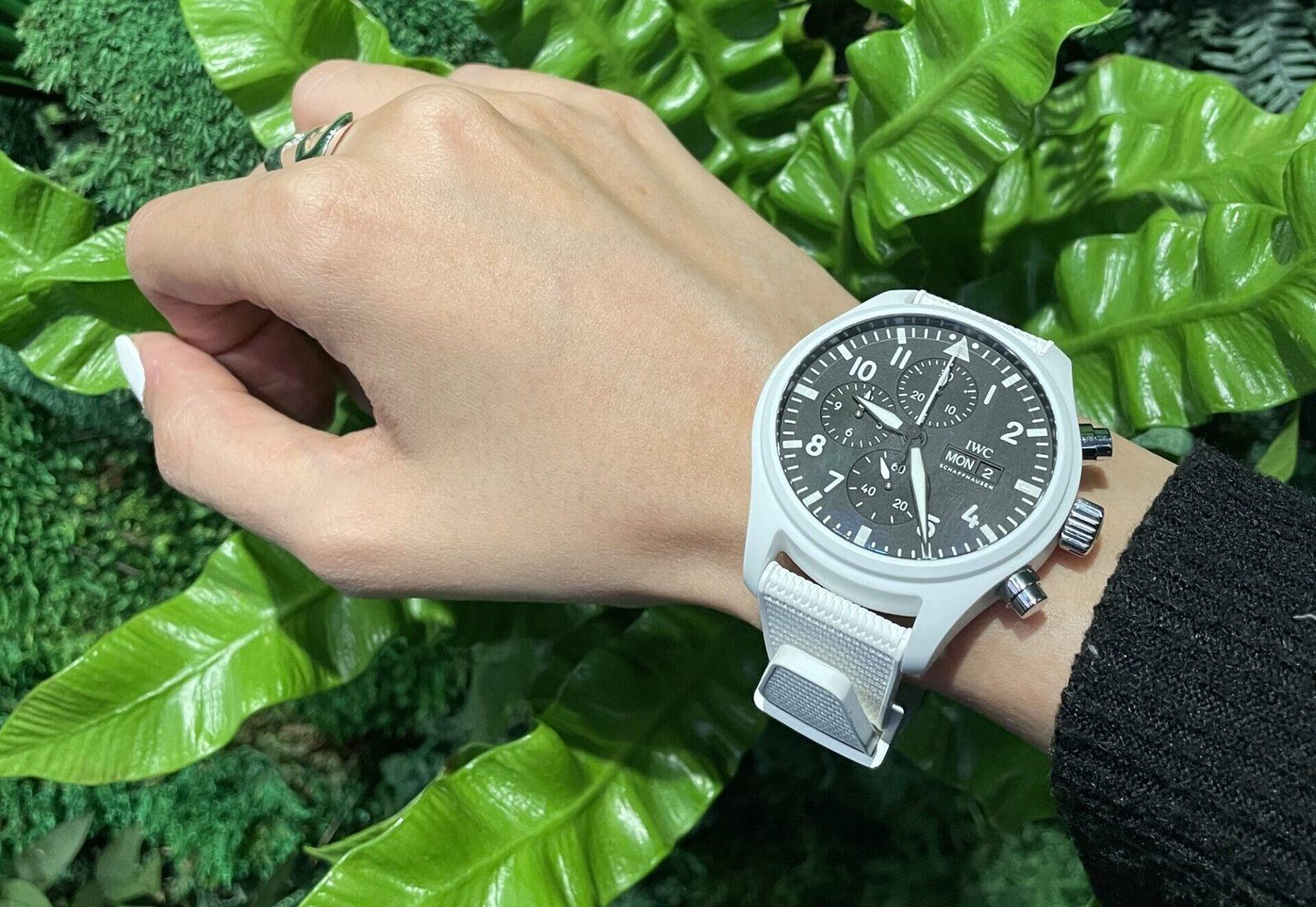 Jaeger-LeCoultre’s Rendez-Vous Dazzling Shooting Star