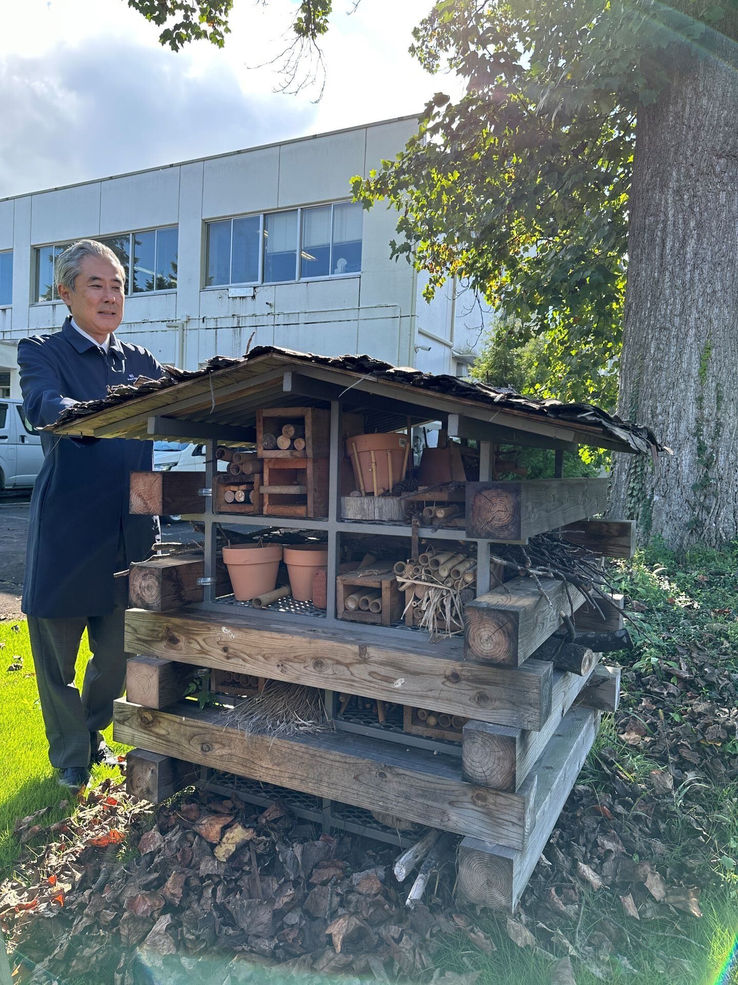 The insect hotel