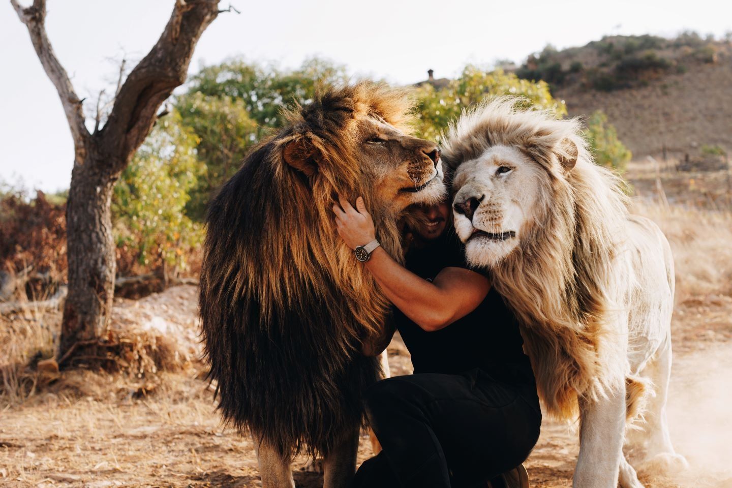 Dean Schneider with Lions