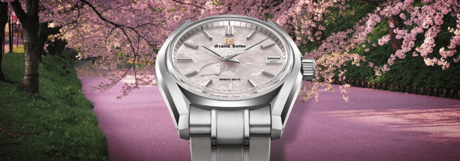THM Suggests: Exciting Luxury Watch Nicknames