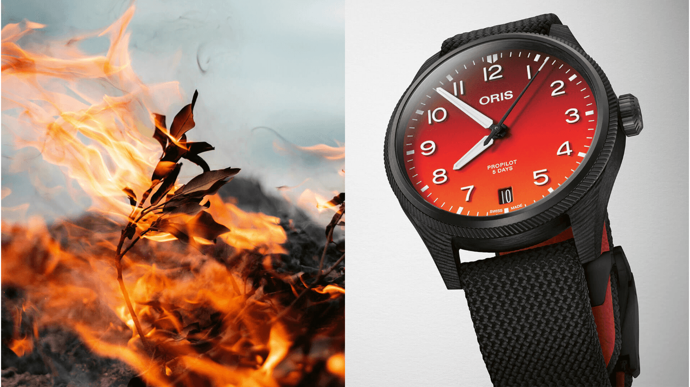 Introducing the Coulson Limited Edition