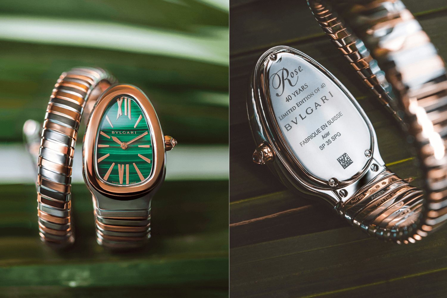 Rose x Bulgari Serpenti Special Edition