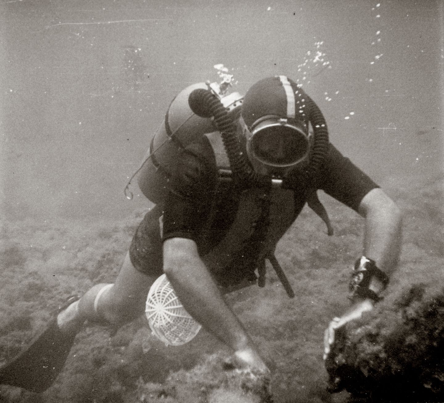 Jean-Jacques Fiechter diving in the South of France