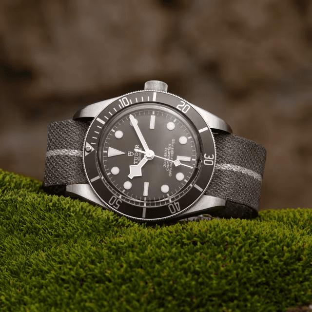 tudor-m79010sg-0002 (3).png